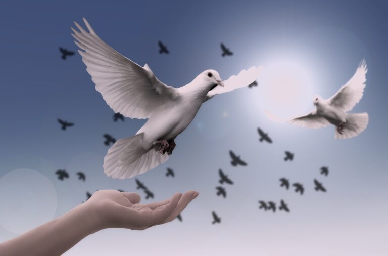 Mednarodni dan multilateralizma in diplomacije za mir: sodelovanje je nujno