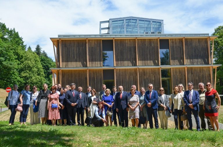 Gozdna diplomacija kot pomemben vidik reševanja izzivov trajnostnega razvoja